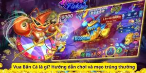 Vua Bắn Cá là gì? Hướng dẫn chơi và mẹo trúng thưởng